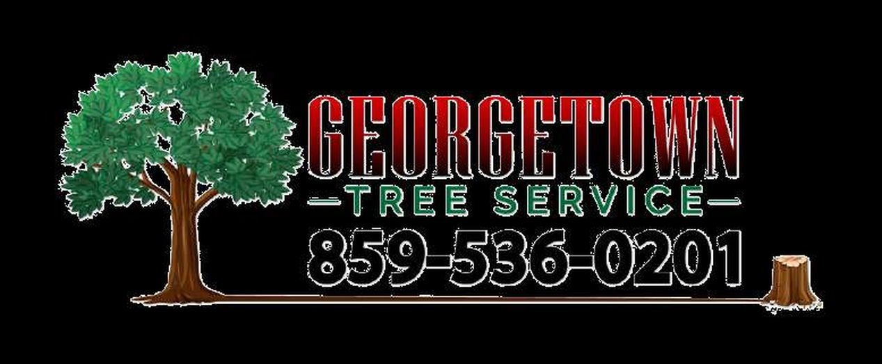 Georgetown Tree And Stump Service