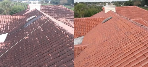 Pressure Cleaning/ Roof Cleaning | Best Color Painting 