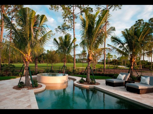 Pool Deck & Patio | Luscious Landscaping and Pavers 