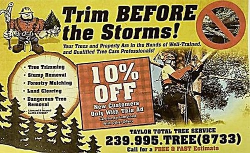 Tree Services | Taylor Total Tree Service 