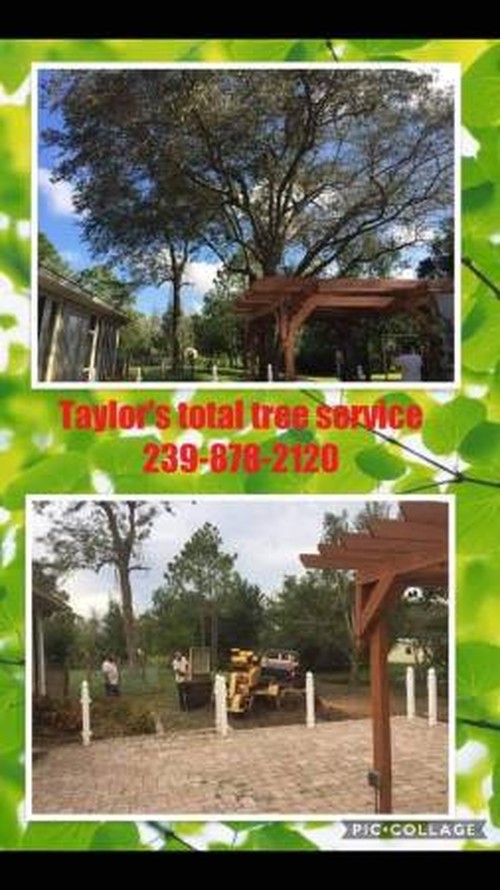 Residential Tree Services | Southern Arbor Services 