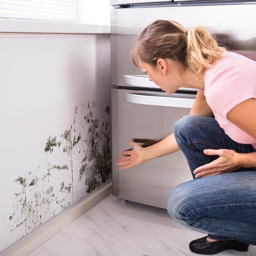 Mold Remediation & Leak Detection | Oasis Solutions of Florida 